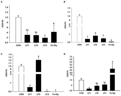 Effect of maternal lactoferrin supplementation on iron contents and anti-oxidant capacity in Dahe black Pig neonates